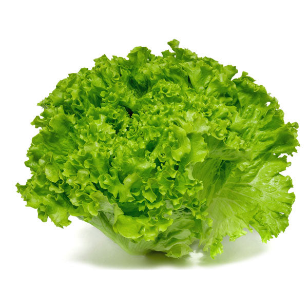 comprar lechuga ecologica